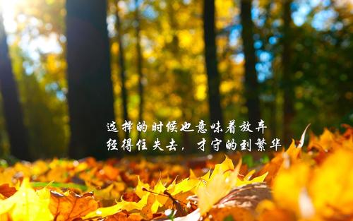 景區活動策劃方案東莞