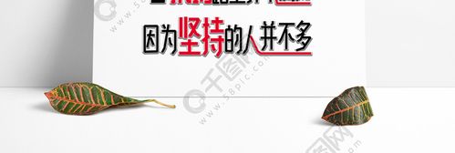 物流配送司機(jī)管理規(guī)定