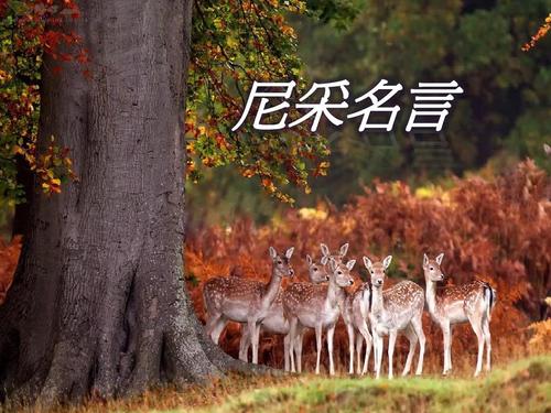 《剪掉髻子當紅軍》